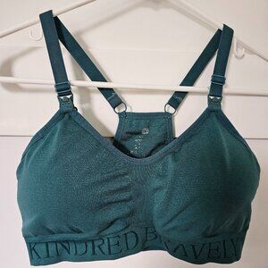 Kindred Bravely Nursing/Pumping Bra